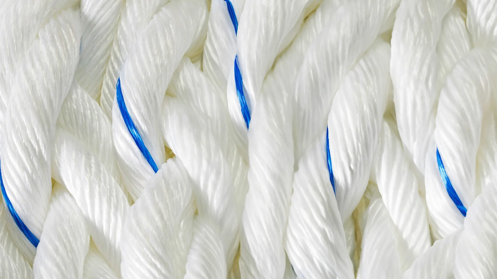 Polypropylene Rope / PP Mono Rope / PP Rope / Marine Rope / Mooring Rope